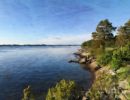 By the water 01