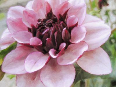 Flower01