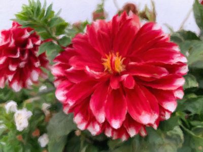 Flower02